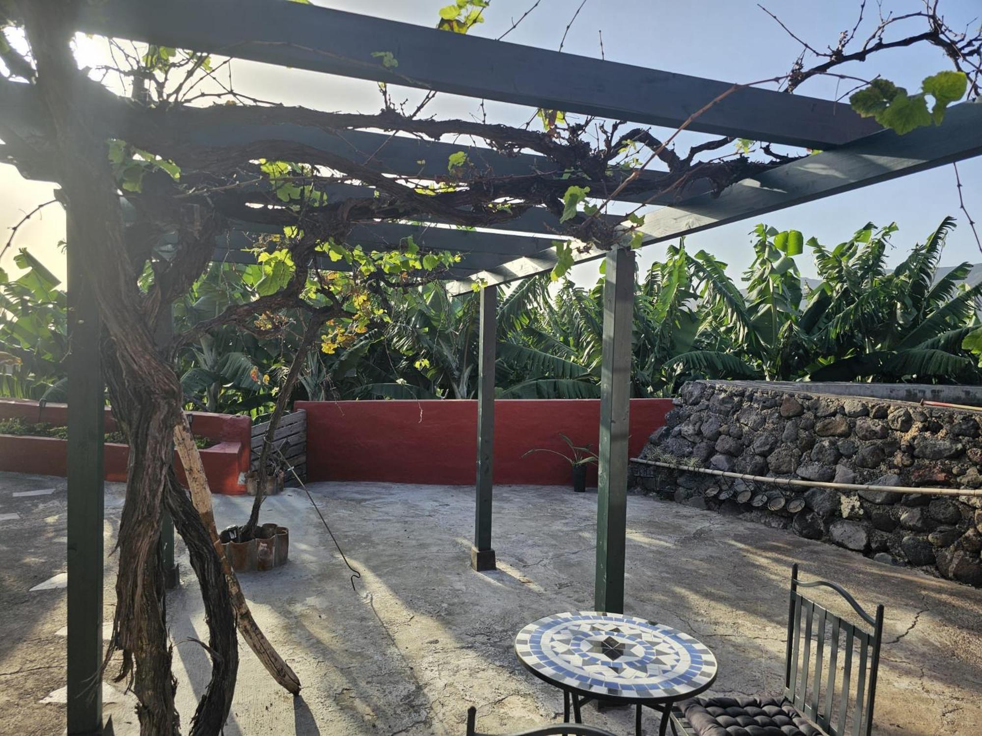 Casa Rural El Pinito Con Piscina Privada El Paso Dış mekan fotoğraf